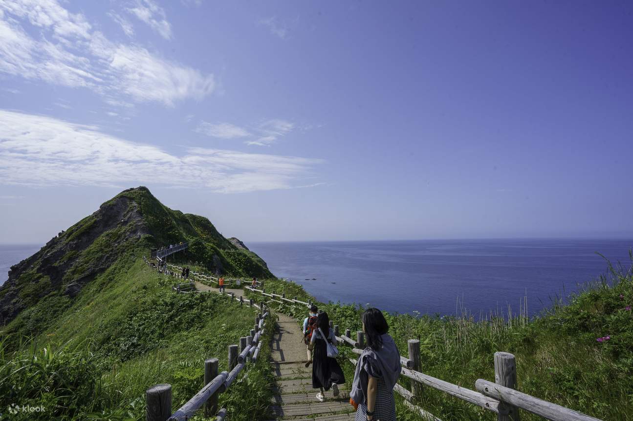 Hokkaido | Shakotan Sea Urchin Yoichi Whiskey Distillery Memetik Buah | Lawatan Hari Pemandangan Cape Kamui Otaru Tenguyama